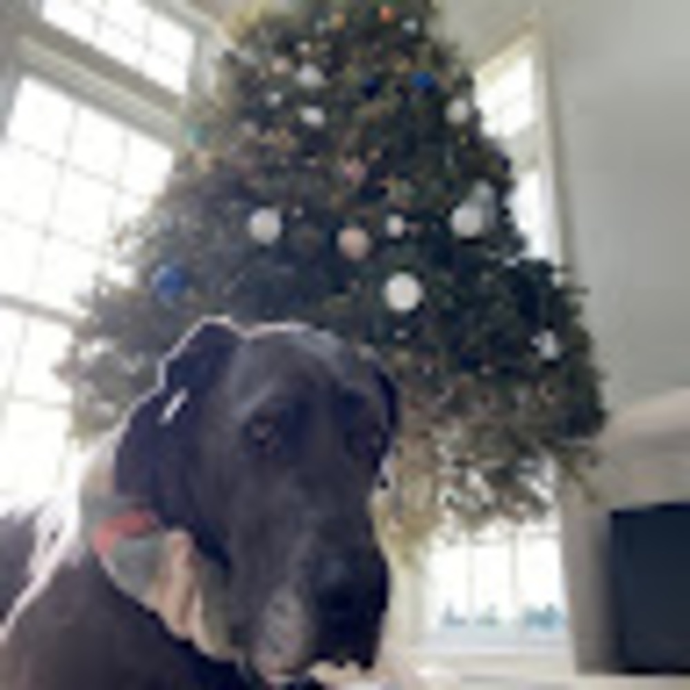 Meet your Posher, Graysen